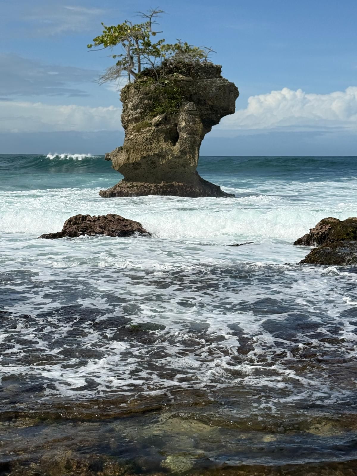 A tree-topped rock rising from the Caribbean surf